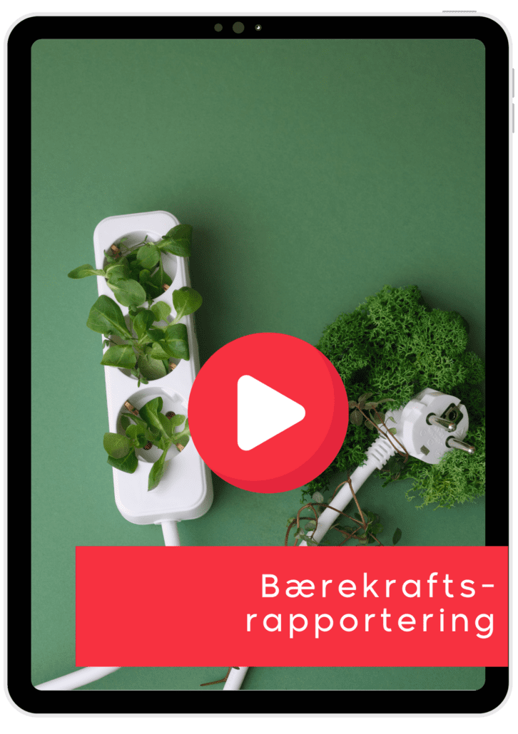 baerekraft